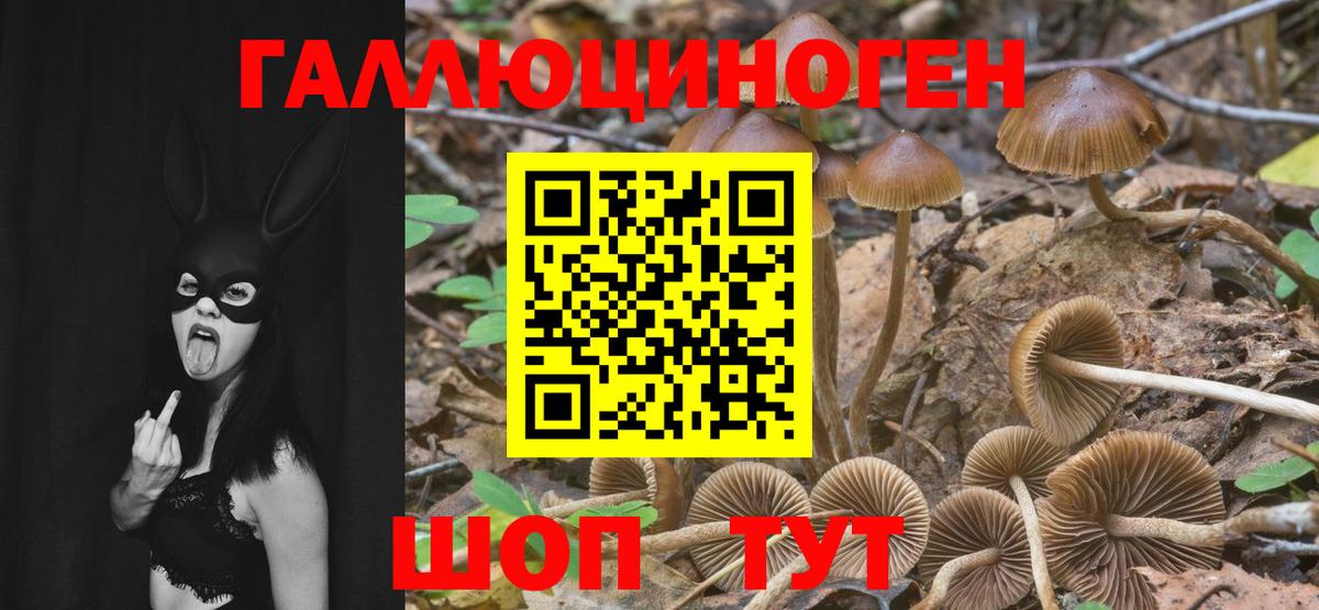 Псилоцибиновые грибы мухоморы Вятские Поляны