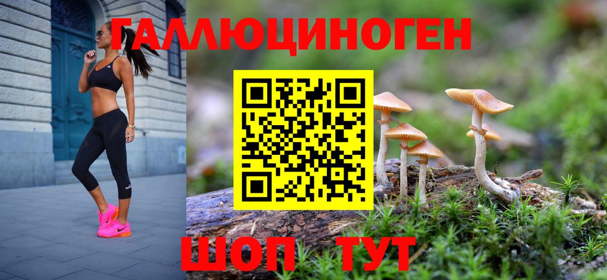 Галлюциногенные грибы прущие грибы  Вход с VPN  Вятские Поляны 