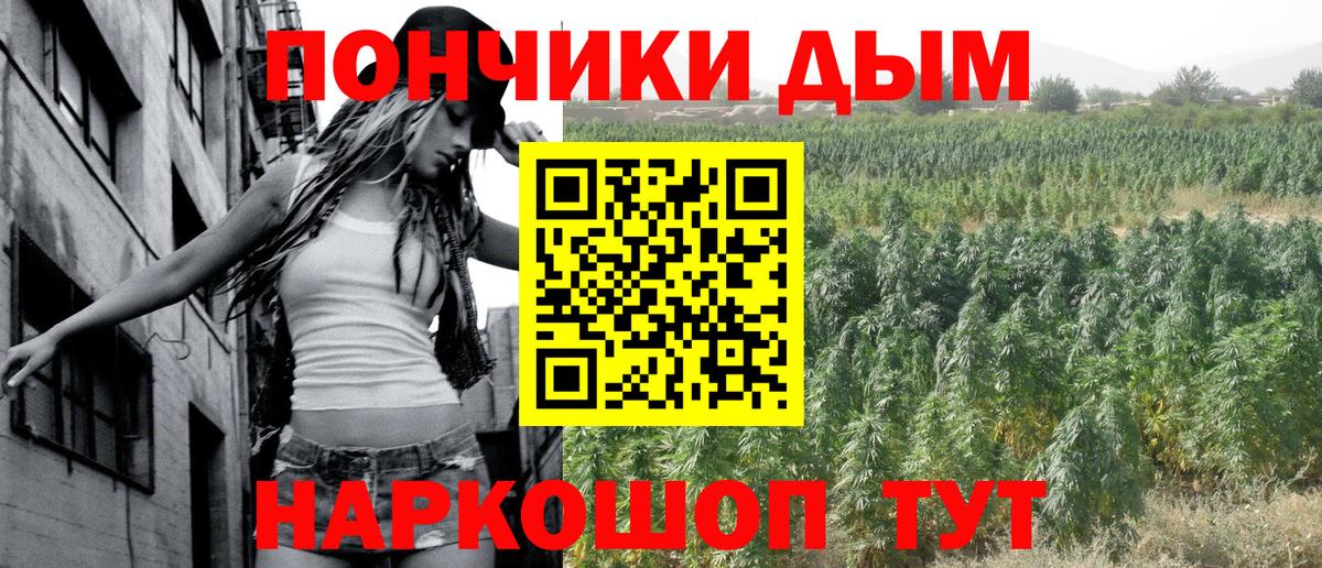 Каннабис Bruce Banner  Вход с VPN  Конопля OG Kush  Вятские Поляны  Каннабис MAZAR  Бошки марихуана тримм 